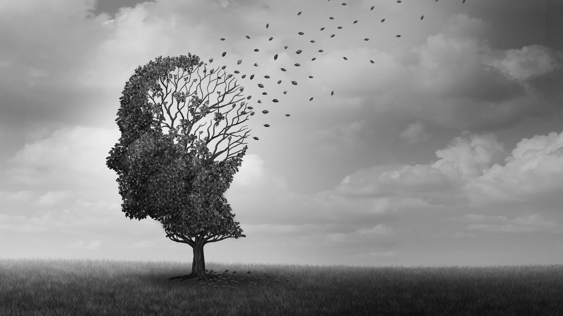סקירה על מחלת האלצהיימר: סיבות, תסמינים וגורמי הסיכון שלה